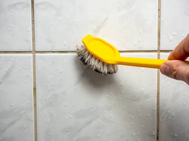 Best Mold Removal Company Near Me  in Mansfield, PA