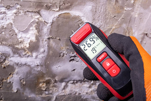 Best Mold Testing  in Mansfield, PA