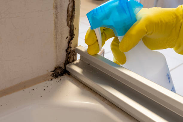 Best Residential Mold Removal  in Mansfield, PA