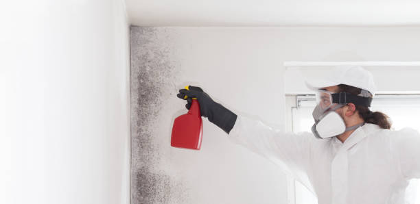 Best Mold Remediation Services  in Mansfield, PA